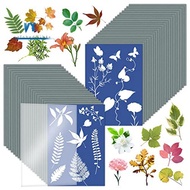 1Set Cyanotype Paper A5  Art Kit High Sensitive Sun Paper  Printing Kit Drawing Art Paper