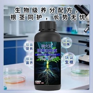 生根壮苗剂生根液果树蔬菜花卉移栽育苗强力发根壮根提苗剂新型肥Rooted Seedling Agent Rooted Liquid Fruit Tree Vegetable Flower Transf