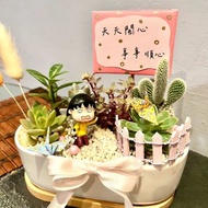 櫻桃小丸子 賠罪謝禮 日式 多肉組盆 多肉植物 道歉小丸子