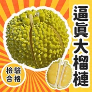 其他品牌 - 榴槤切切樂 大榴槤玩具 剝皮榴槤 水果切切樂 切水果玩具（榴槤/12PCS）