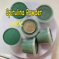 17 Gram Spirulina powder High Grade algae kutu air food 螺旋藻