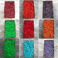 Home Decoration DIY Immortal Moss Plant Artificial Background Wall Whole Box Moss Miniature Landscap
