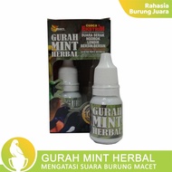 [RBJ] Gurah Mint 10ml Hoarse Medicine in Penggacor instantly powerful volume VitaminSupplements