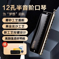 Oriental Ding 12-Hole 48-Tone Chromatic Harmonica Dreamer 2.0 Professional Performance 12-Hole C-Tun