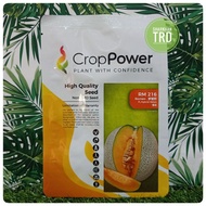 Paket 500 Seeds RM 216 ROMEO Crop Power Biji Benih Rock Melon F1 Hybrid Rockmelon Seeds Ready Stock.