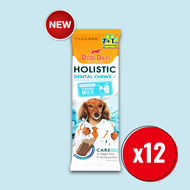 Dog Days Award ขนมทานเล่น และ Dental Chews ขนมขัดฟัน