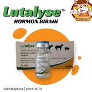 Termurah !!! LUTALYSE PGF2ALFA | HORMON BIRAHI HEWAN TERNAK | Gertak birahi | Obat birahi ternak
