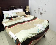 §同床共枕§ 100%精梳棉 雙人5x6.2尺 薄床包美式枕套三件式組-北極熊 台灣製造