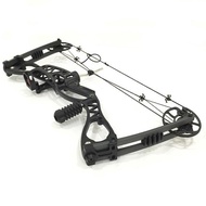 35-65LBS 10 Arrows Left Right Handed Compound Bow Archery Set