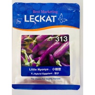 10G LECKAT 313 LITTLE NYONYA / Terung Pendek Mini