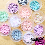 Ramboci Plate Sequin Beads