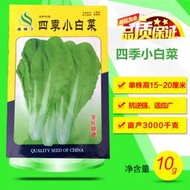 四季小白菜種子 種籽陽臺盆栽小菜園露天易種香菜菠菜青菜籽蔬菜種子 種籽