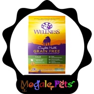 Wellness Health Grain Free Adult Lamb &amp; Lamb Meal Dry Dog Food 10.8kg