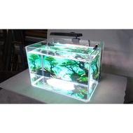 Rear wall filter fish tank 40 x 30 x 27 (length x width x height) 5mm glass