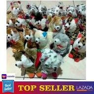 BONEKA KUCING LUCU ANGGORA