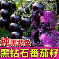 Tomato Seeds Red Virgin Fruit Seeds Cherry Tomato Seeds Small Tomato Vegetables