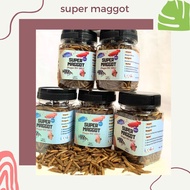 Maggot Kering Grade A++ Pakan Ikan Arwana Channa Color &amp; Growth Booster Magot Tendo 100 gram / Maggot Pakan Ikan Chana Channa Auranti Maru Arwana Magot Kering Cana Tendo 100gram