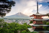 河口湖賞富士山.吉卜力美術館.東京哈利波特.鎌倉江之島.親子暑假迷你小團五日【專屬包車】(北/高出發)※不含機票