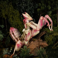 Orchid Mantis - 3D Puzzle Eco-Friendly Paper Crafts DIY STEM Toys Educational Learning 3D Puzzles