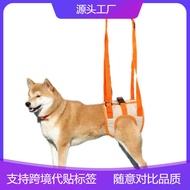 New Product Senior Dog Auxiliary Belt Senior Dog Handicapped Dog Rehabilitation Exercise Belt Pet Su