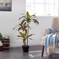 110cm Artificial Tree Artificial Dracaena Red Tree Artificial Plants Fake Plants Plastic Plants Drac