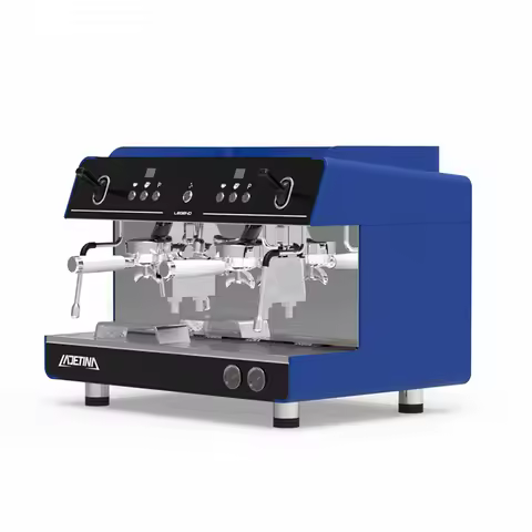 Espresso Coffee Machine Commercial Coffee Maker Lever Steam 9 Bars Pressure 240
