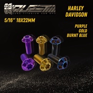 5/16” 18x22mm Screw GR5 Titanium Screw Harley Davidson Motorcycle Titanium Screw