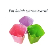 8 cm colorful box pot or rainbow pot or 8 cm colored pot