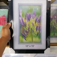 photo frame 10x15 inci / frame gambar