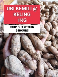 UBI KEMILI UBI KELING 1KG FRESH