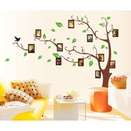ADEK Wallsticker / TREE Wall Stickers PHOTO FRAME TREE FRAME Wall Sticker AY803 Transparent Wallstic