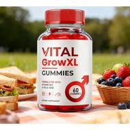 Vital Grow XL Gummies - Men's Energy Boost Supplement | Delicious Chewable Energy Support