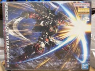 MG SENGOKU ASTRAY GUNDAM