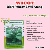 Bibit Benih Pakcoy Sawi Ateng WICOY 10 GRAM Cap Permata Hijau Setara nauli F1 Panah Merah