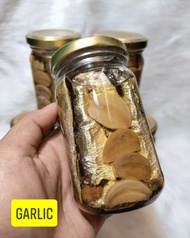 Dipolog Spanish Sardines - Garlic Flavor