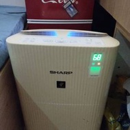 SHARP空氣淨化機