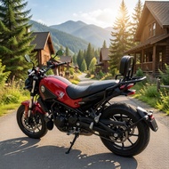 For Benelli Leoncino 500 BJ500 BJ 500 Rear Side Saddle Bag Box Motorcycle Luggage Rack Carrier with 