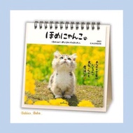 貓貓2021卓上月曆