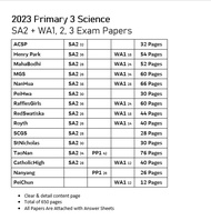 Top schools 2023 Primary 3 SA2 (Year-End )& WA123 P3 Exam Paper