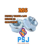 M6 Flange Nut White M6 Flange Nut White Galvanized Flange Nut M6