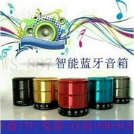 WS-887 Bluetooth Speaker