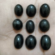 Fosil galih kelor hitam