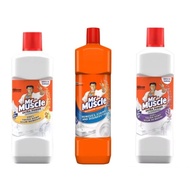 Mr Muscle Bathroom Regular 450ml toilet Cleaner removes stains & disinfects pencuci tandas bilik man