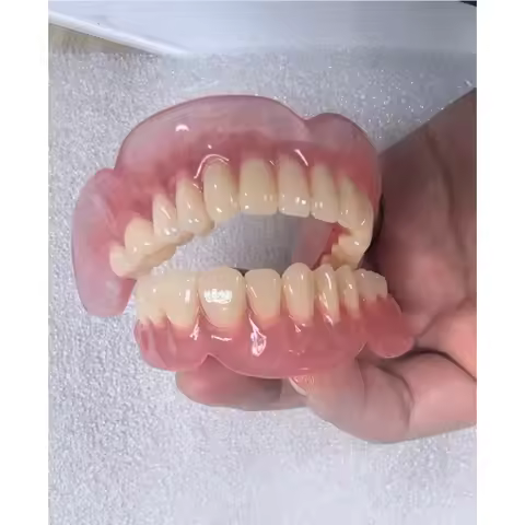 Full Senior Teeth Full Teeth Model Display Supplies Full Dentures Removable Dentures Prosthodontics