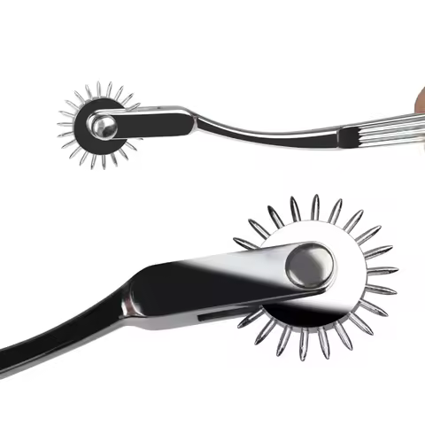 Stainless Steel BDSM Pleasure Wheel for Women & Couples – Fetish Submission Kit with Clitoral and Ni