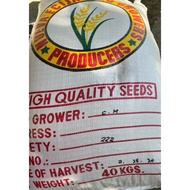 binhi palay seeds variety 222 certified seeds 40kls 1 sacks new harvest