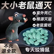 老鼠药Rat poison. Rat poison, rat poison, the ultimate rodent killer, powerful and effective bait, indo