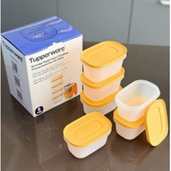 Mini Tupperware Freezer Box 170ml