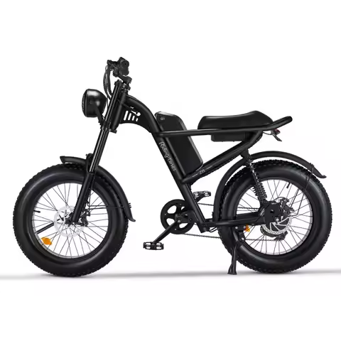 Electric Fat Bikes 20 Inches Electric Fat Bicycles Electric Bike
