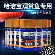 Hajiebao Arowana Stingray Ornamental Fish Aquarium Protection Suppression Powder Tablets Non-Veterin